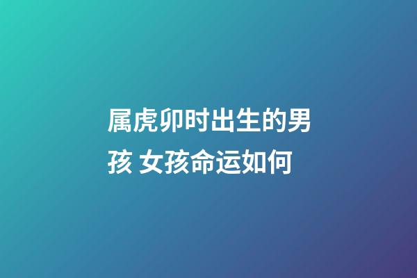 属虎卯时出生的男孩 女孩命运如何